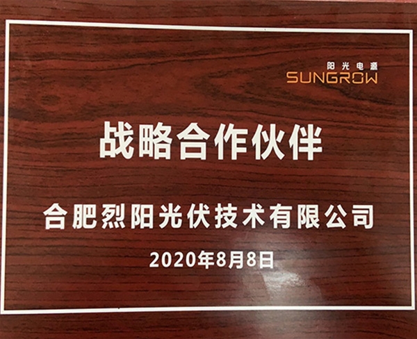 戰略合作伙伴