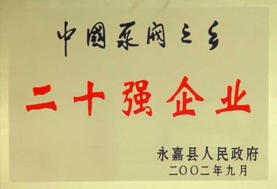 中國泵閥之鄉(xiāng)二******企業(yè)